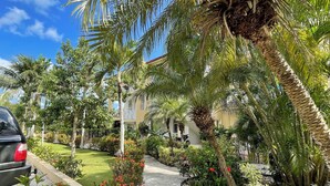 A paved pathway flanked by lush greenery and flowering plants, leading to a building with a yellow facade.