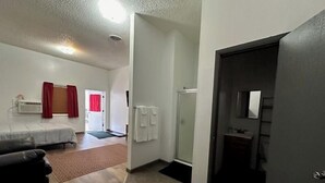 Een knus verblijf met een bed, een slaapbank, een douche en een kleine kitchenette.