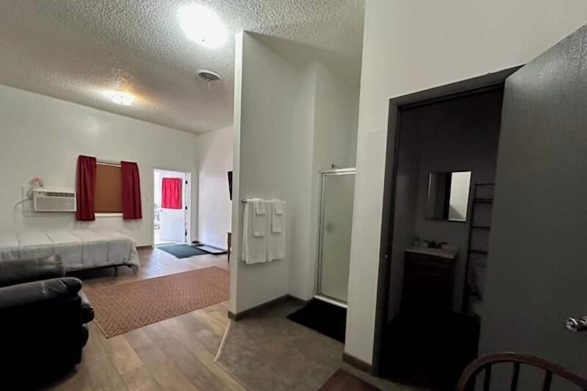 Un espacio habitable compacto con cama, sofá, zona de ducha y una pequeña kitchenette.