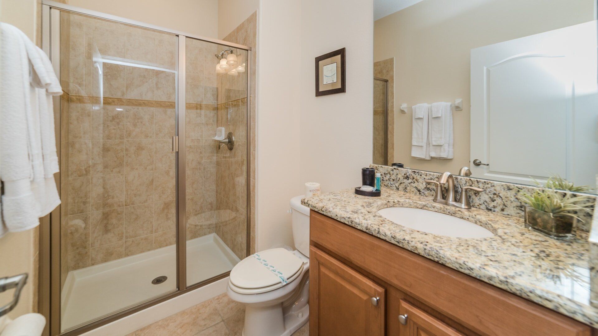 A bathroom with a glass-enclosed shower, a toilet, a sink with a granite countertop, and a mirror.