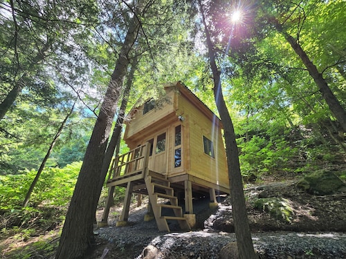 Waterfront Muskoka Escape with Small Beach & Private Dock for Swimming