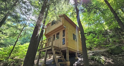 Waterfront Muskoka Escape with Small Beach & Private Dock for Swimming