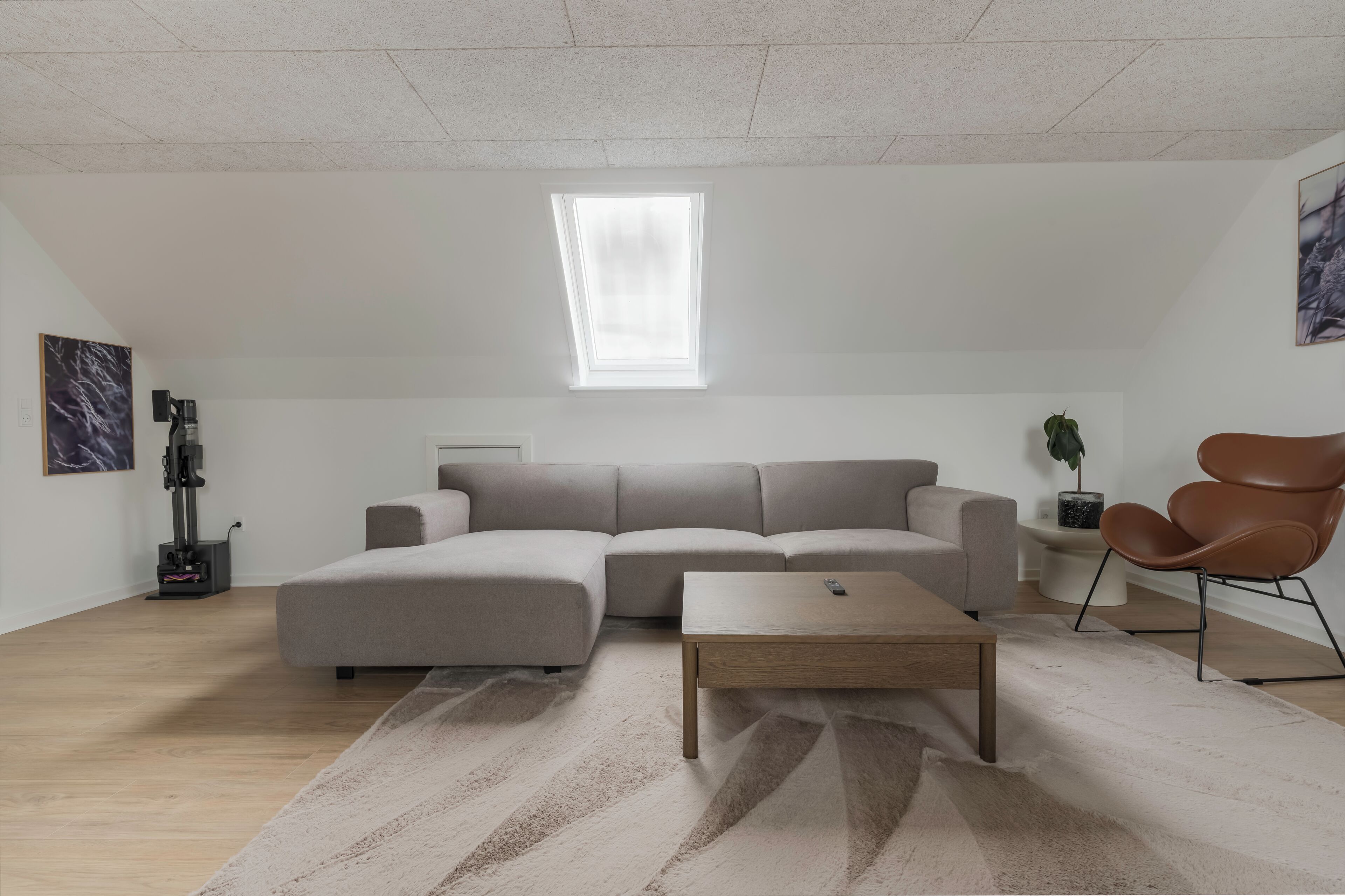A modern living room with a sectional sofa, a coffee table, a small side table, a potted plant, and a framed picture on the wall.