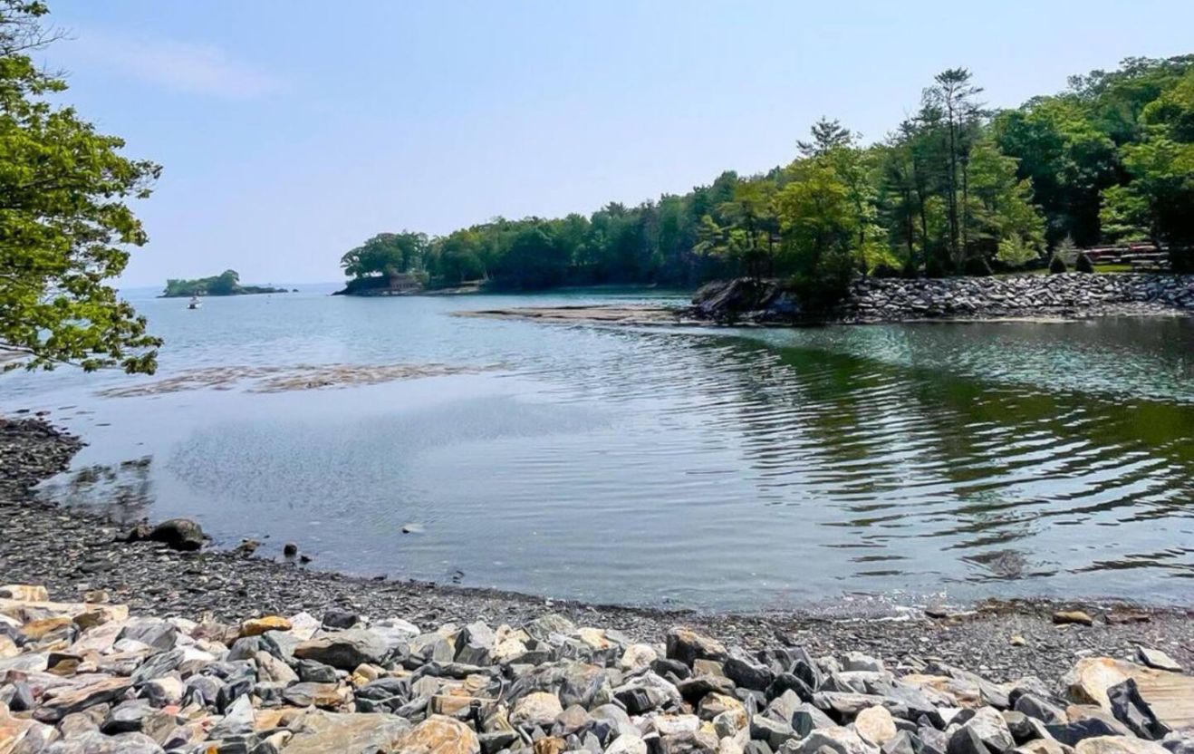 A rocky shoreline with calm water, trees, and a distant island.