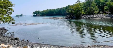 A rocky shoreline with calm water, trees, and a distant island.