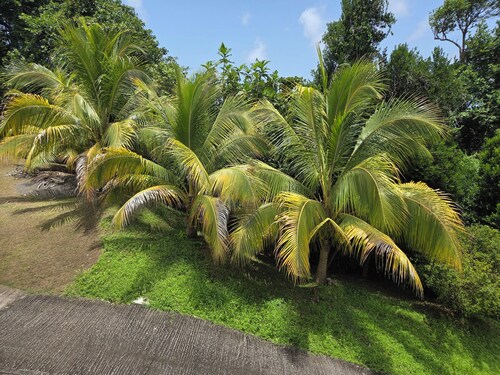 Beautiful view with 3 bedrooms. Located in Grand bay. 25 minutes from Roseau