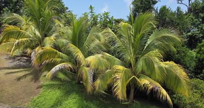 Beautiful view with 3 bedrooms. Located in Grand bay. 25 minutes from Roseau