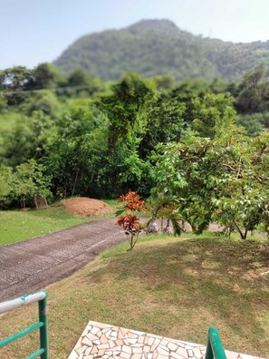 المنطقة المحيطة بالمنشأة