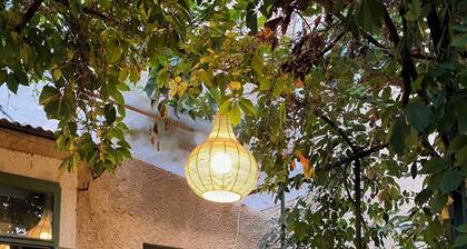 maison dans mas à l'extérieur de Pézenas 3 chambres climatisées jardin parking
