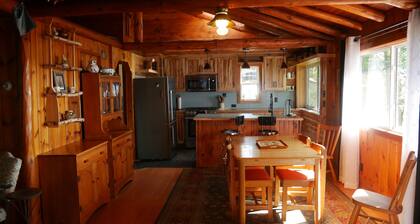 Enjoy this Wonderful cabin on Spec Lake!