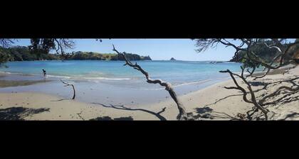 Bach at the beach
- Situated at Taiharuru (east coast near Whangarei, Northland)