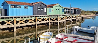 Pet friendly home in Saint-Pierre-d'Oléron