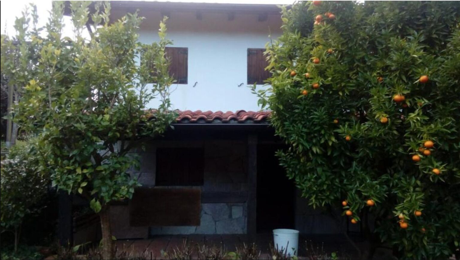 A house with a tiled roof, a stone wall, and a small window. There are trees with orange fruits in front of the house.
