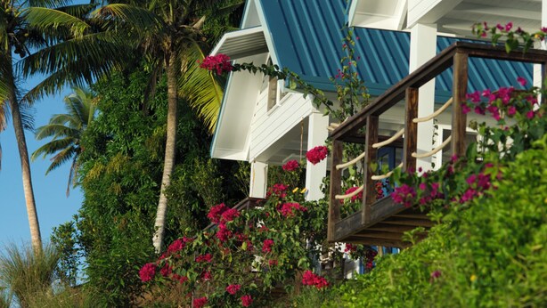 A beachfront property with a blue roof, white walls, and a wooden balcony with pink flowers. - A fusion of classic colonial and cool Mediterranean holiday accommodation (Savusavu)