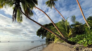 A beach with palm trees, a calm sea, and boats in the distance. - A fusion of classic colonial and cool Mediterranean holiday accommodation (Savusavu)