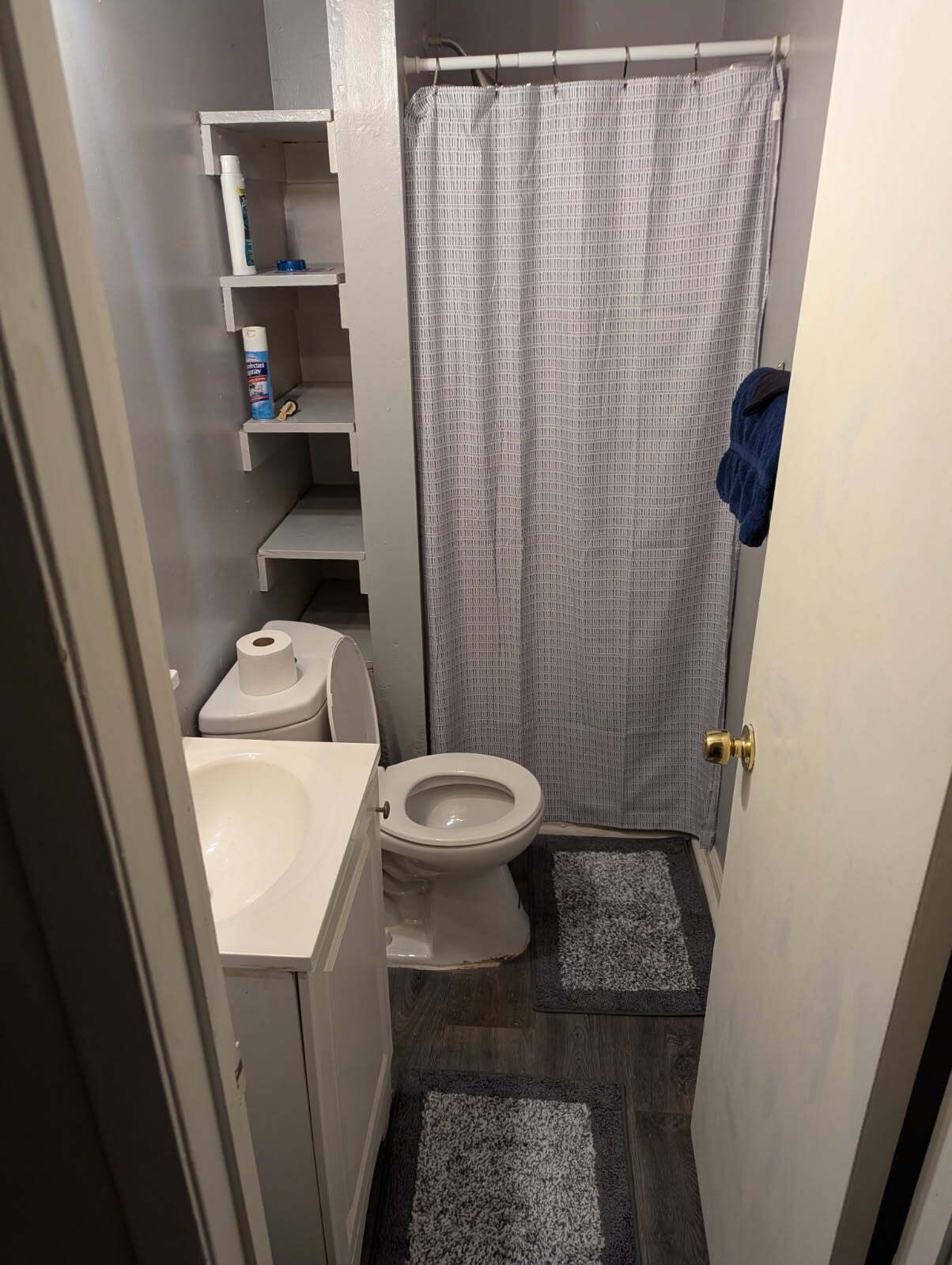 Shower, towels, soap, toilet paper