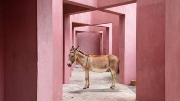 Entrada de la propiedad