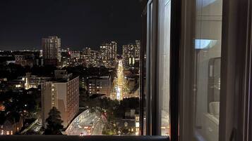 City view from property