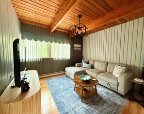 Smart-TV, Kamin, DVD-Player, Bücher