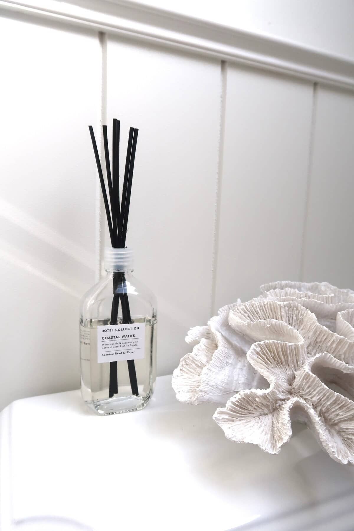 Regadera, secadora de cabello, shampoo 