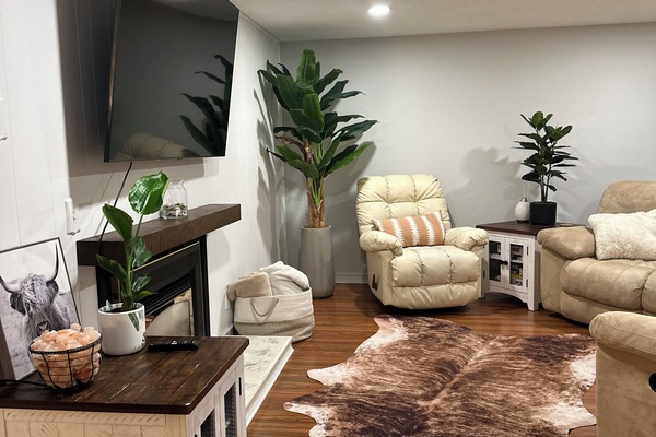 Televisión, chimenea