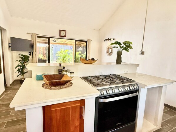 Apartment, 1 King Bed, Patio, Garden View | Interior