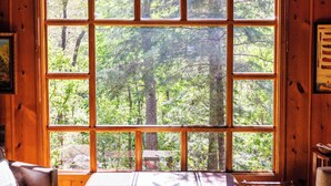 Ein großes Fenster mit Blick auf einen Wald.