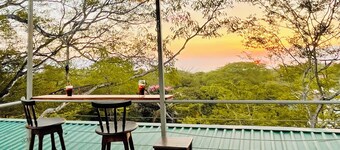 노사라의 올라스 데 오로