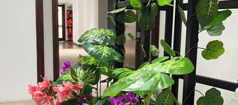 Family room boutique hotel Unicentro