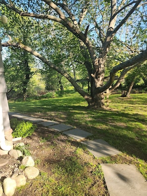 A tree-lined pathway with a wooden bench, a stone wall, and a grassy area. - Surrounded by nature, come stay in this 2 bedroom private,  serene location (Southold)