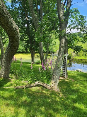 Property grounds - Surrounded by nature, come stay in this 2 bedroom private,  serene location (Southold)
