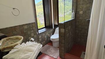 Shower, towels, soap, toilet paper