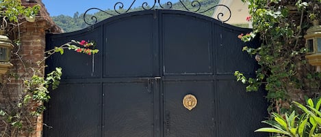 Detalle del exterior