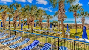 Un hotel a la vora de la platja amb gandules, palmeres i vista a l'oceà.