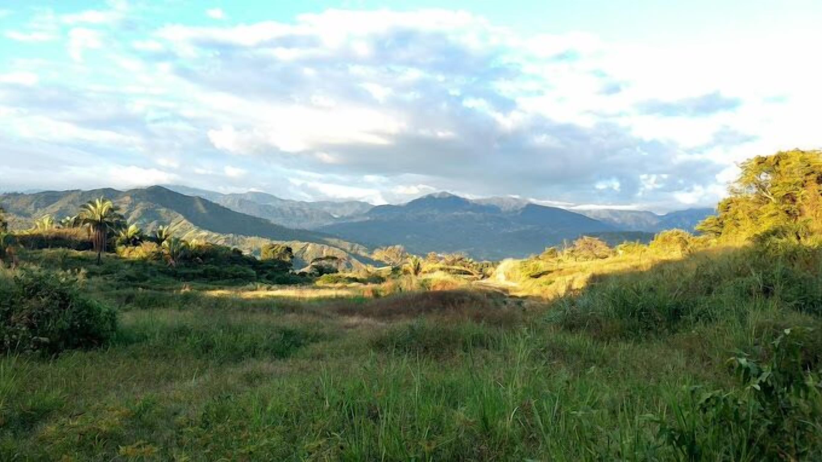 Een landschap met bergen, palmbomen en een grasveld op de voorgrond.