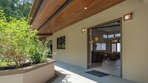A modern interior with a wooden ceiling, a glass door leading to a living area, and a concrete planter with greenery.