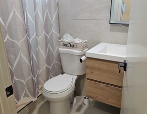 Ducha, secador de pelo, toallas, jabón