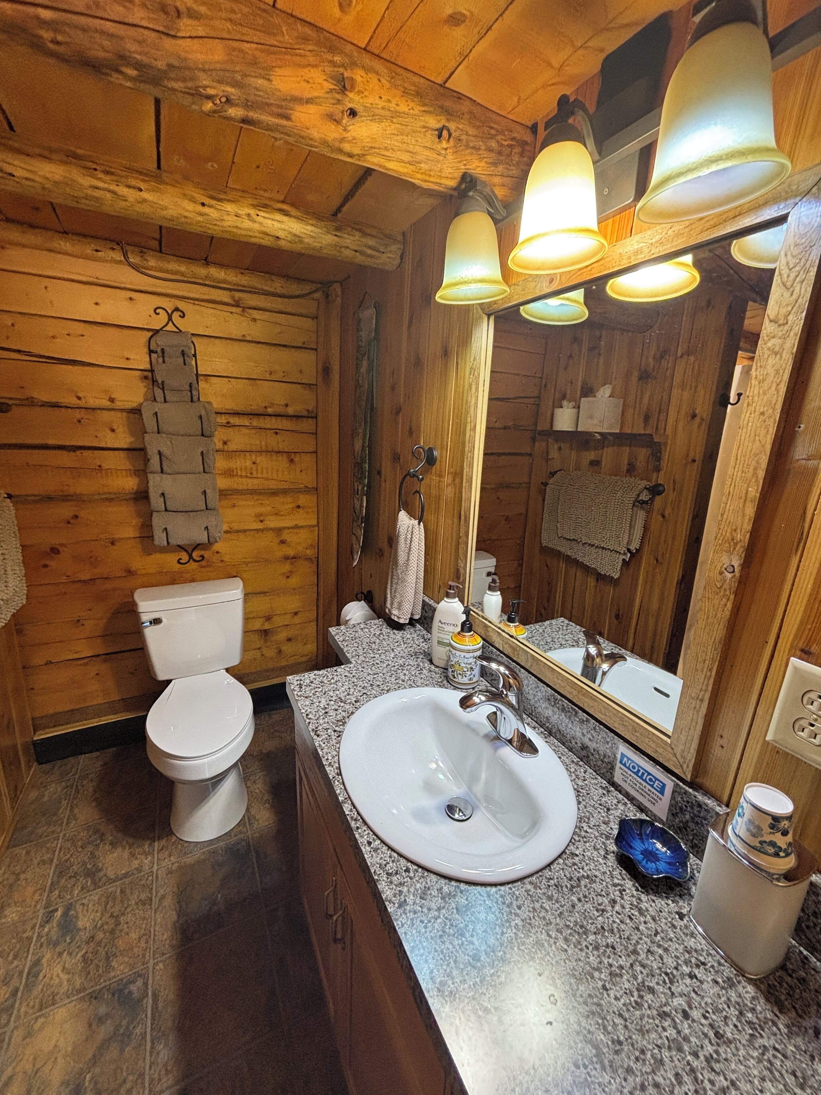A wooden cabin bathroom with a white toilet, granite countertop sink, and a mirror.