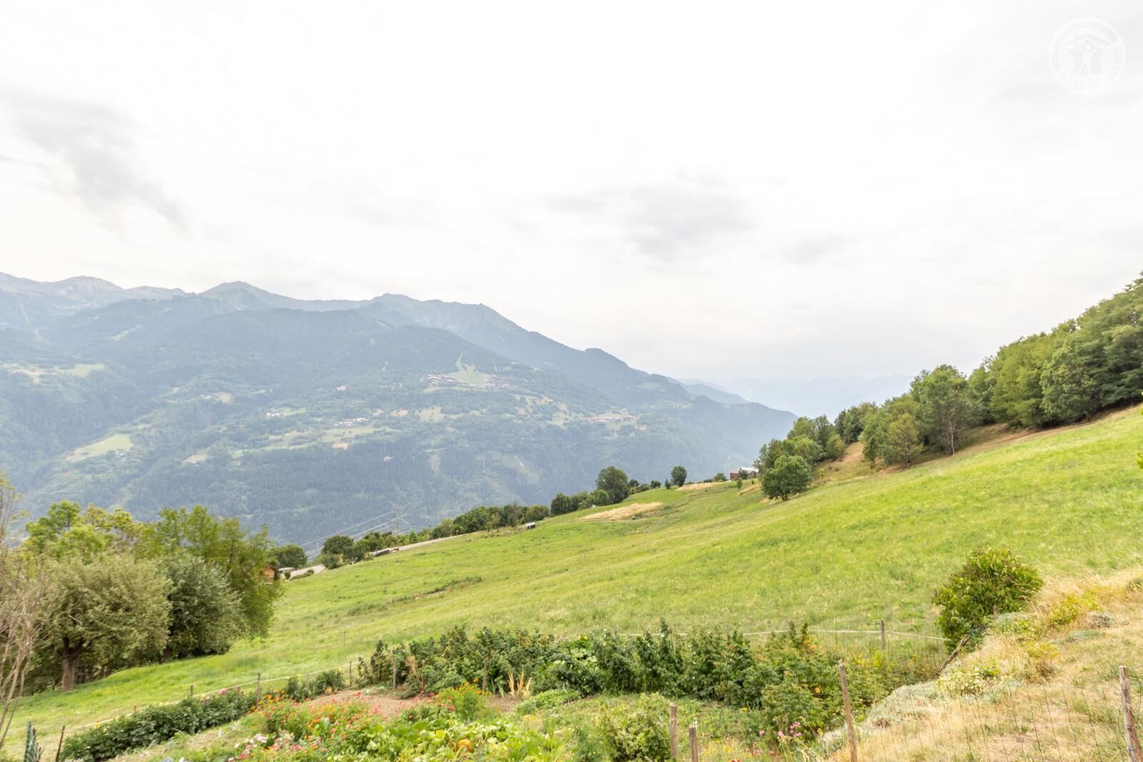 Un paysage rural caractérisé par des collines douces, une clôture et une chaîne de montagnes lointaine.