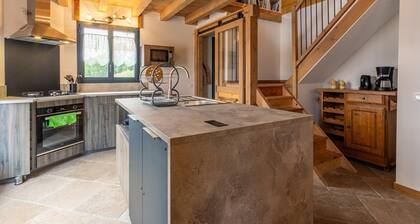 LE CARON - AIME LA PLAGNE