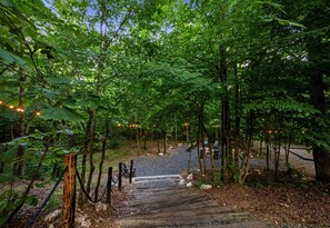 A forested area with a gravel path leading to a seating area with chairs and a fire pit.