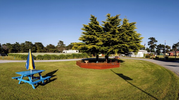 A picnic area with a blue table and yellow umbrella, surrounded by well-maintained grass and a large tree. - BIG4 Kelso Sands Holiday and Native Wildlife Park (Kelso)