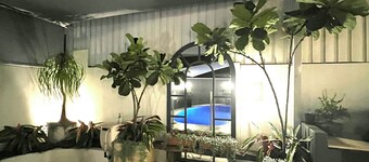 Stunning beach house overlooking North Curl Curl beach