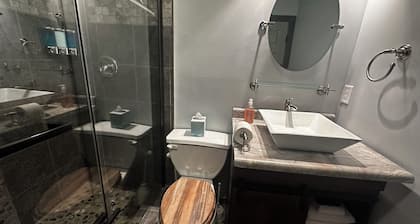 Downtown Lofts