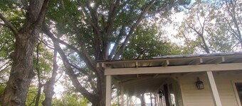 House in the Country on a farm charm, peace, wildlife & tranquility