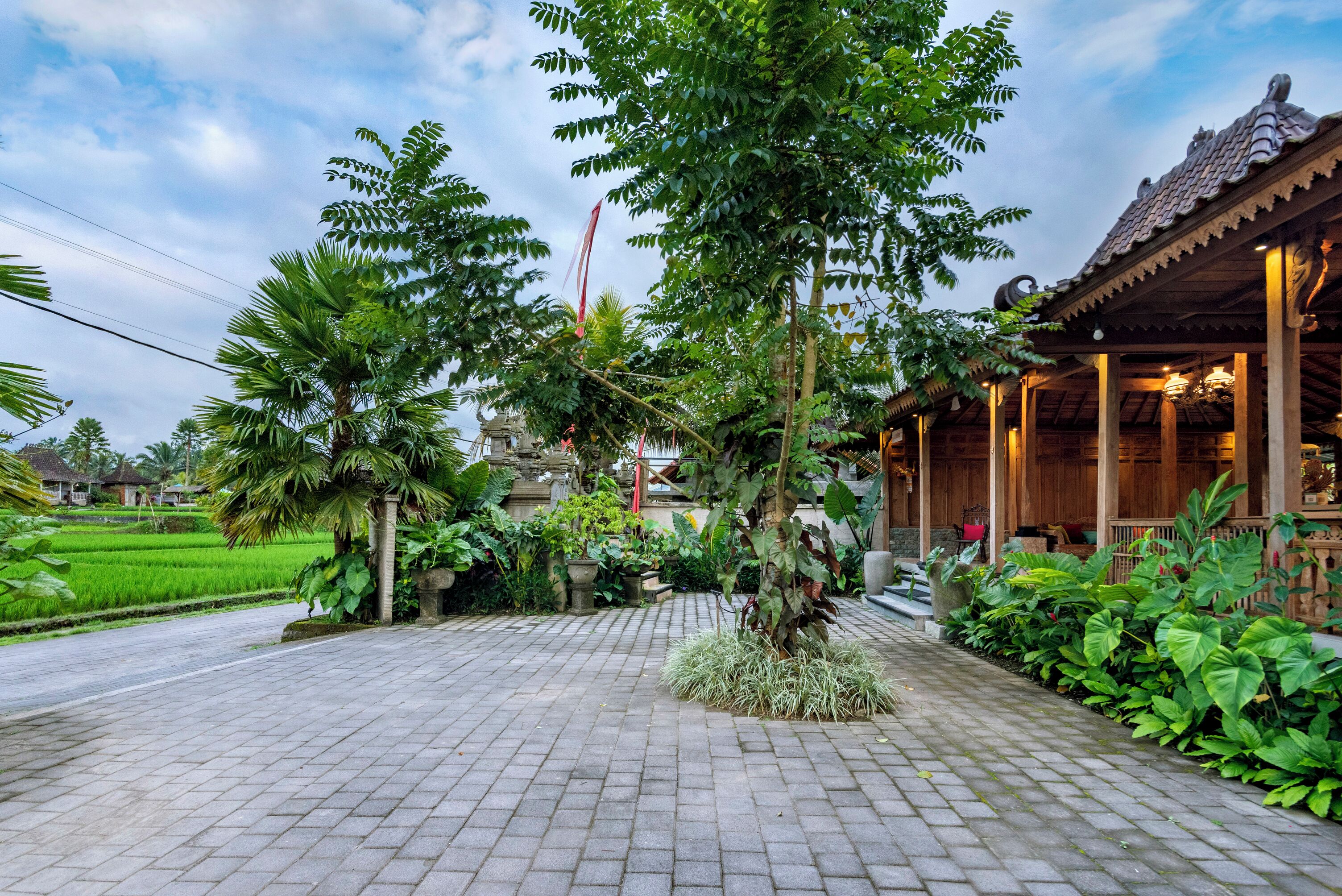 A traditional wooden building with a tiled roof, surrounded by lush greenery and a paved walkway.