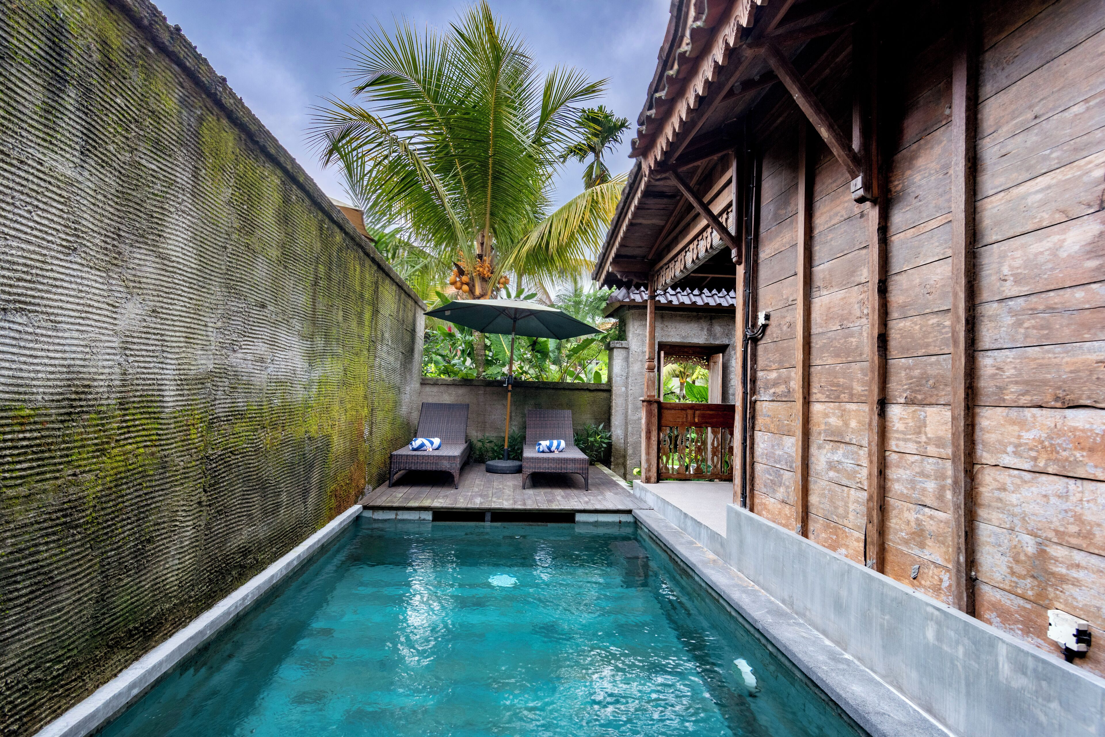 A swimming pool with two lounge chairs and an umbrella, surrounded by wooden walls and a palm tree.