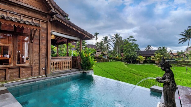 Vila Mewah, kolam renang pribadi, area halaman | Pemandangan dari kamar