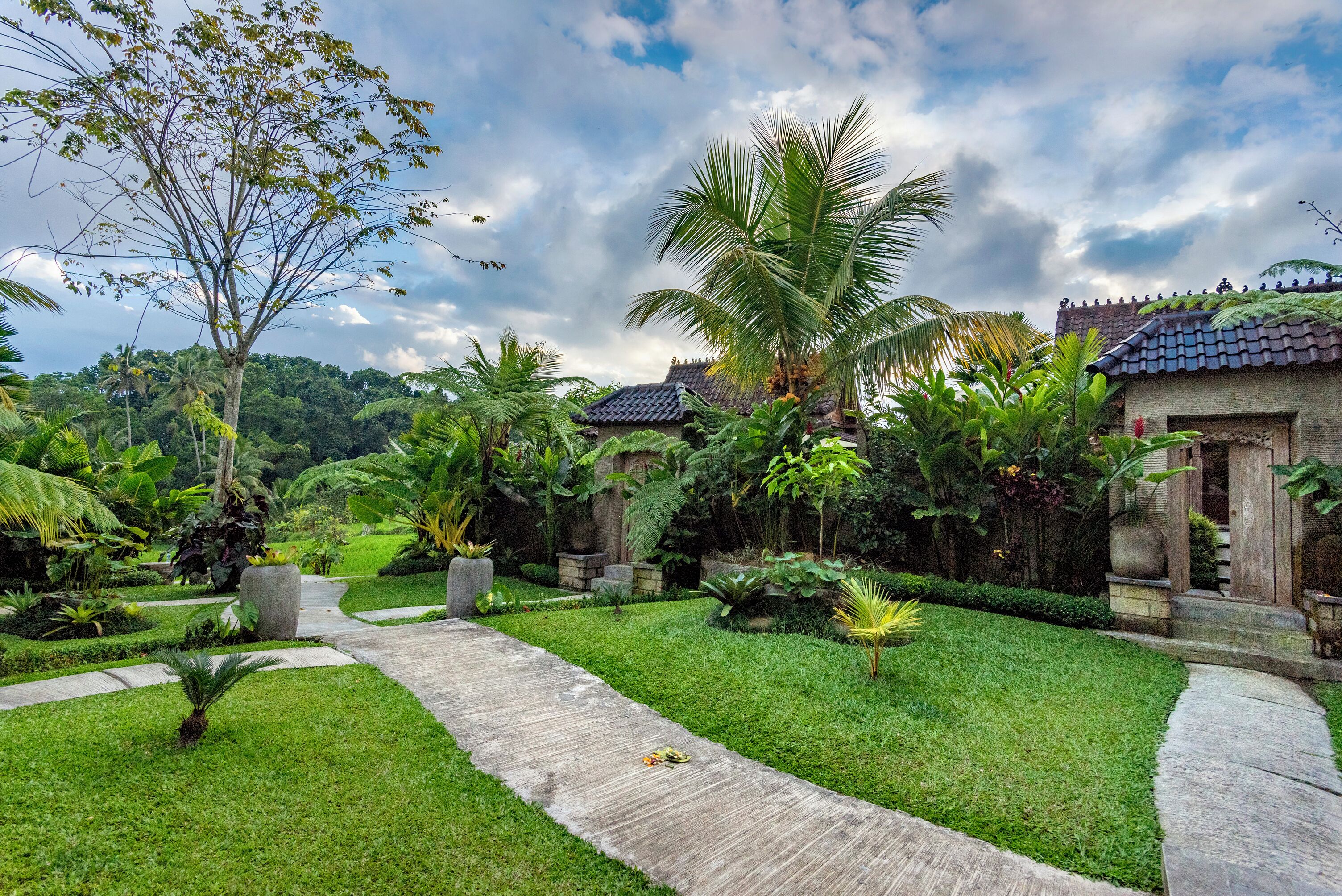 A lush garden with a paved walkway, palm trees, and a traditional building with a tiled roof.