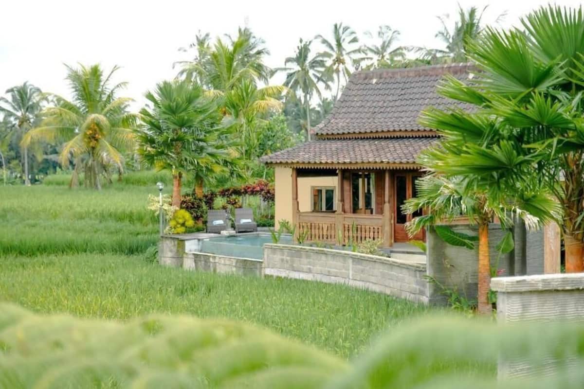 Luxury Villa, Private Pool, Courtyard Area | View from room